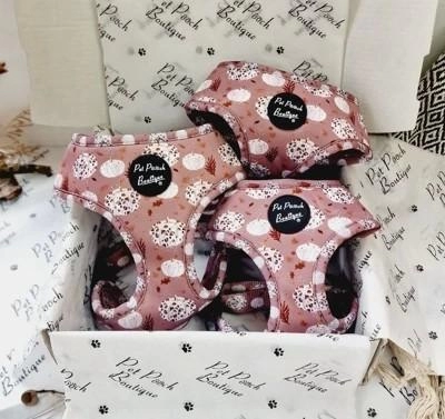 Pet Pooch Boutique
