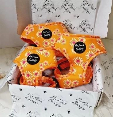 Pet Pooch Boutique