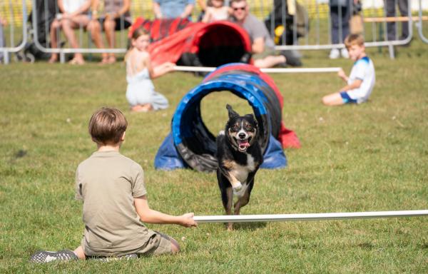 Paws in the Park Sussex Show