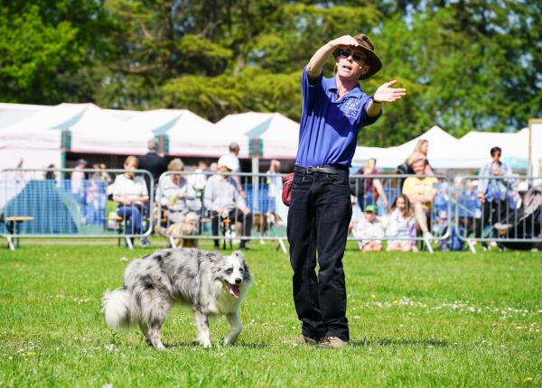 Paws in the Park Sussex Show