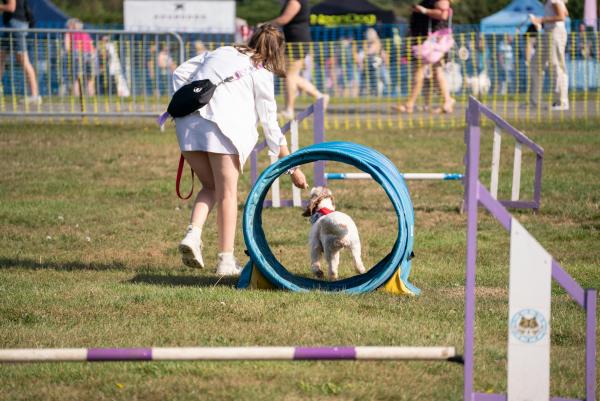 Paws in the Park Sussex Show