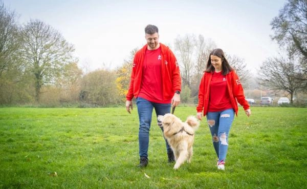 We Love Pets - Camberley