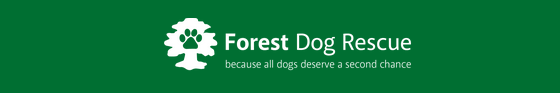 Forest Dog Rescue