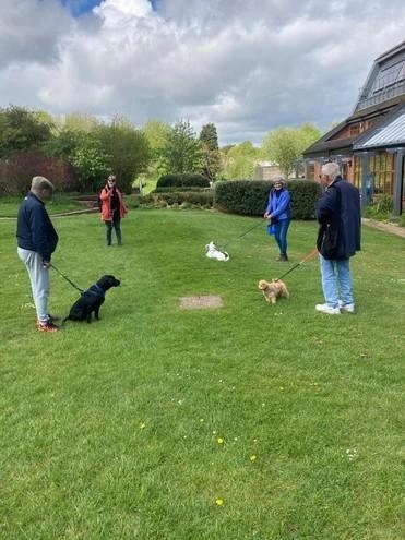 Wellbeing Dogs
