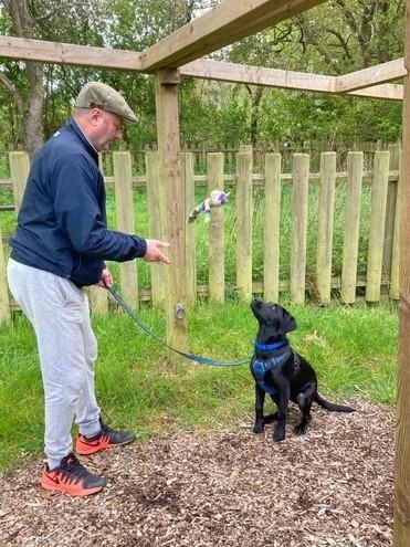 Wellbeing Dogs