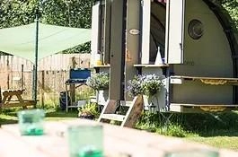 The Paddock