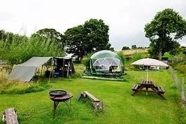 The Paddock