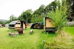 The Paddock
