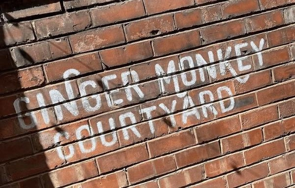 Ginger Monkey 31