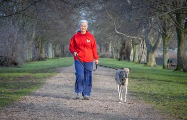 We Love Pets - East Grinstead