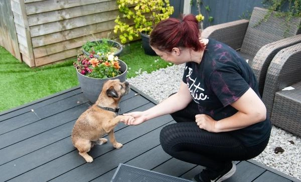 Paws-On Training