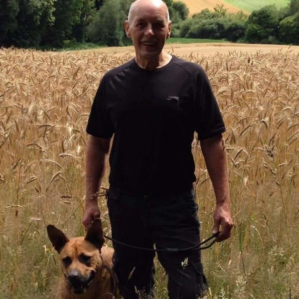 Fawn Dog 1-2-1 Dog Training