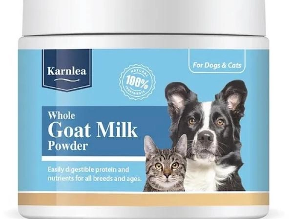 Pawsonal Health