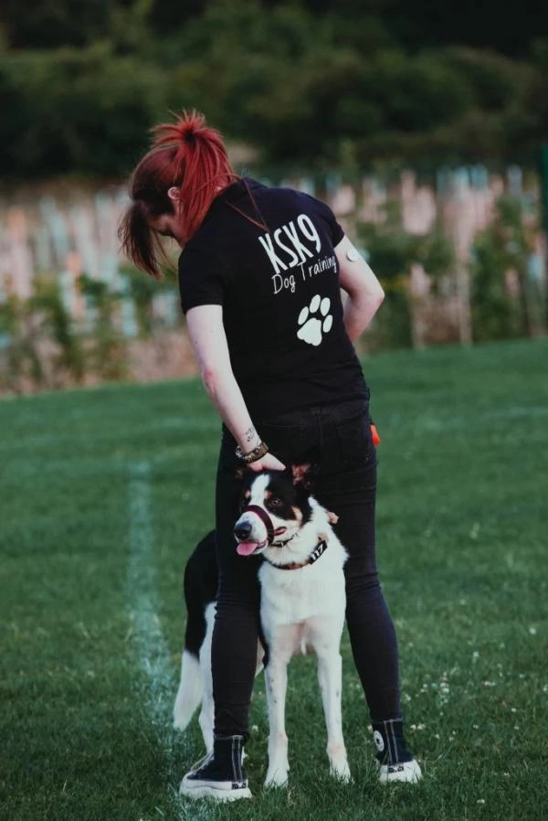 KSK9 Dog Training