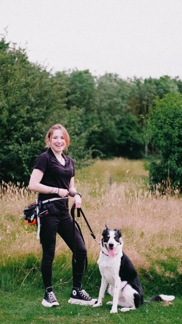 KSK9 Dog Training