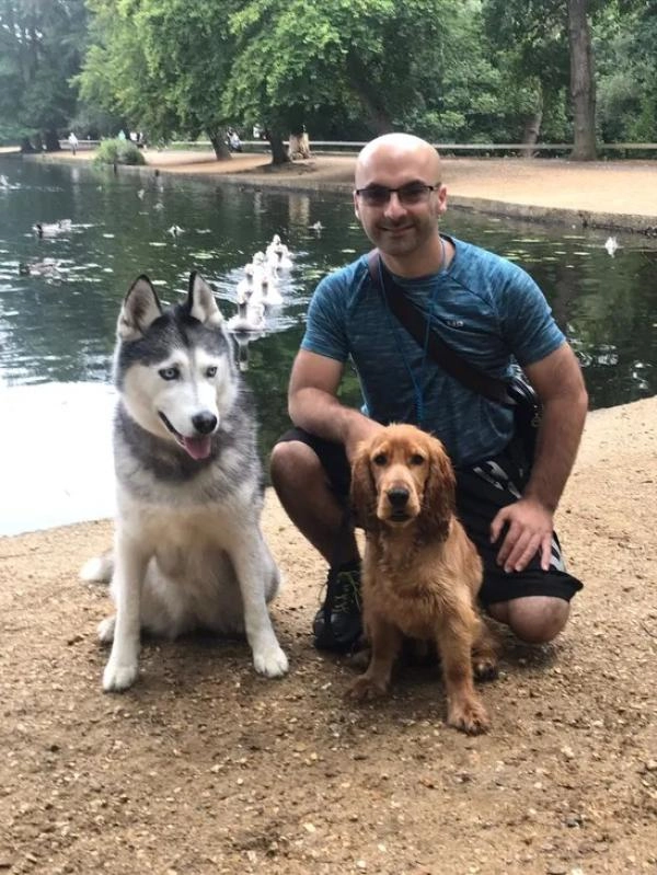 M P Dog Training