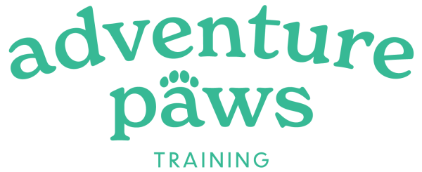 Adventure Paws Training