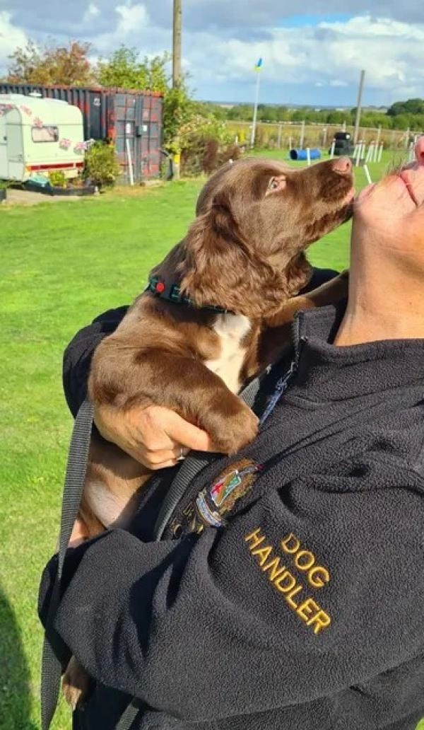A1 Dog Training Centre