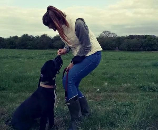 Ruff - Training & Welfare