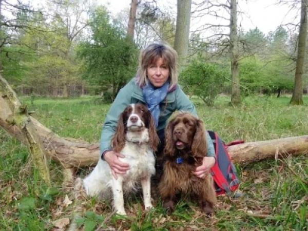 CD Dog Training