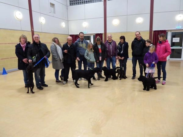 CD Dog Training