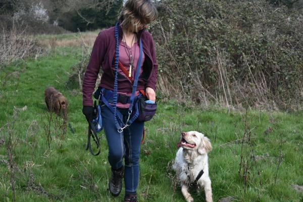 CD Dog Training