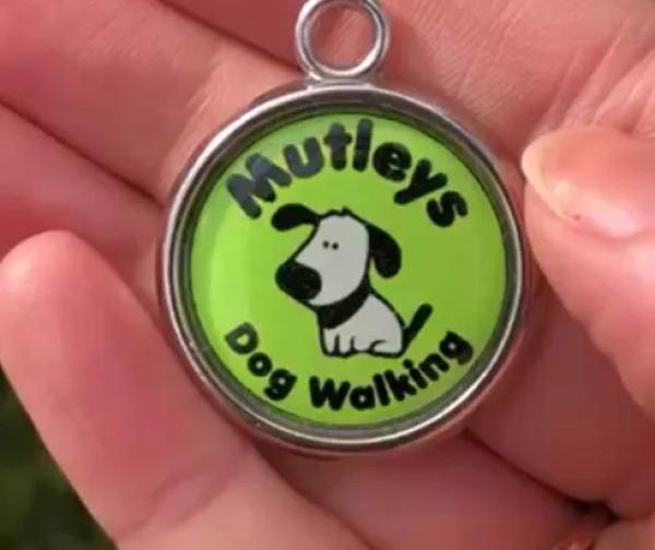 Pawesome Pet Tags