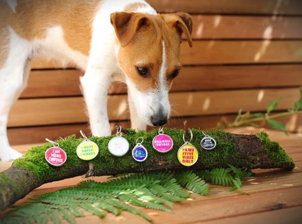 Pawesome Pet Tags
