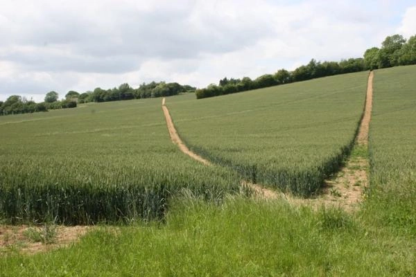 Hastingleigh Holiday Lets