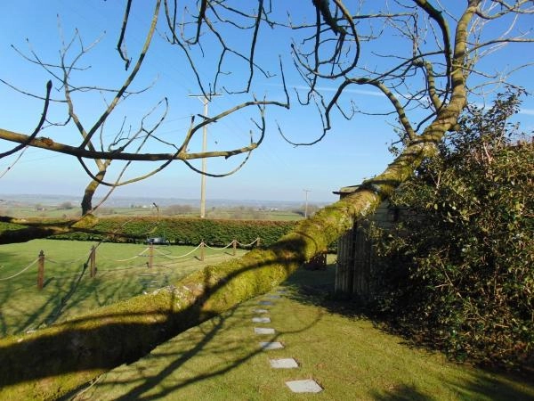 The Beehive Wales