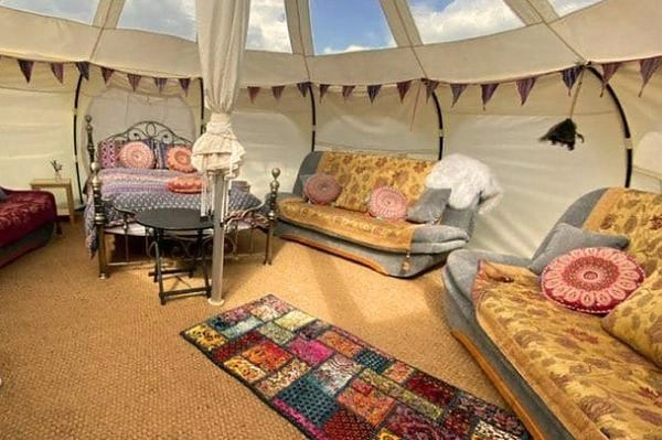 Glamping with Llamas