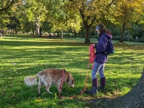Welfare First Pet Care