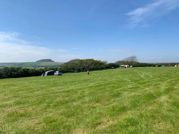 Wilton Farm