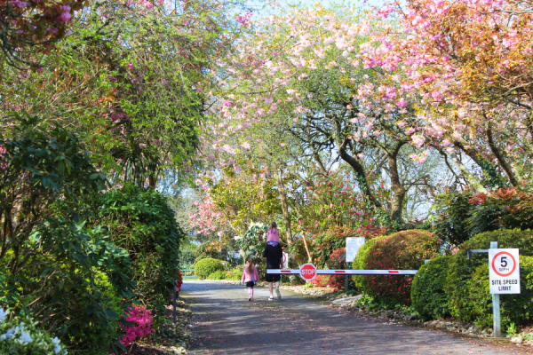 Heligan Caravan and Camping Park