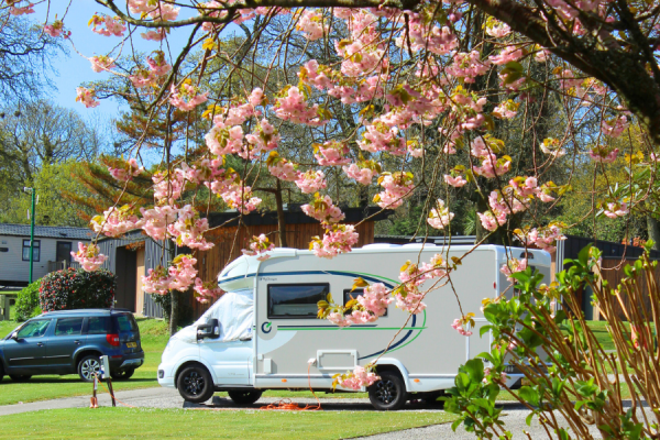 Heligan Caravan and Camping Park