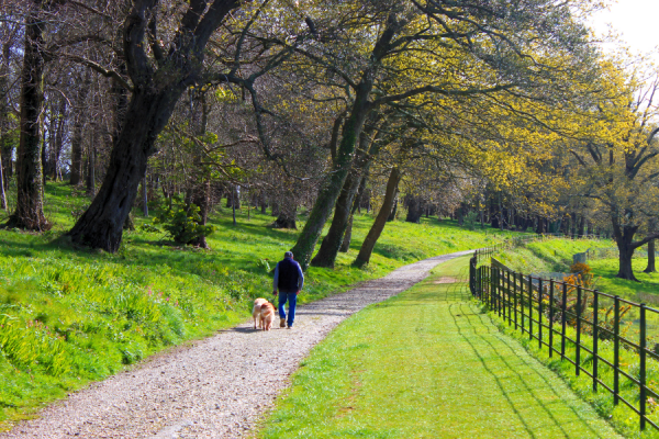 Heligan Caravan and Camping Park