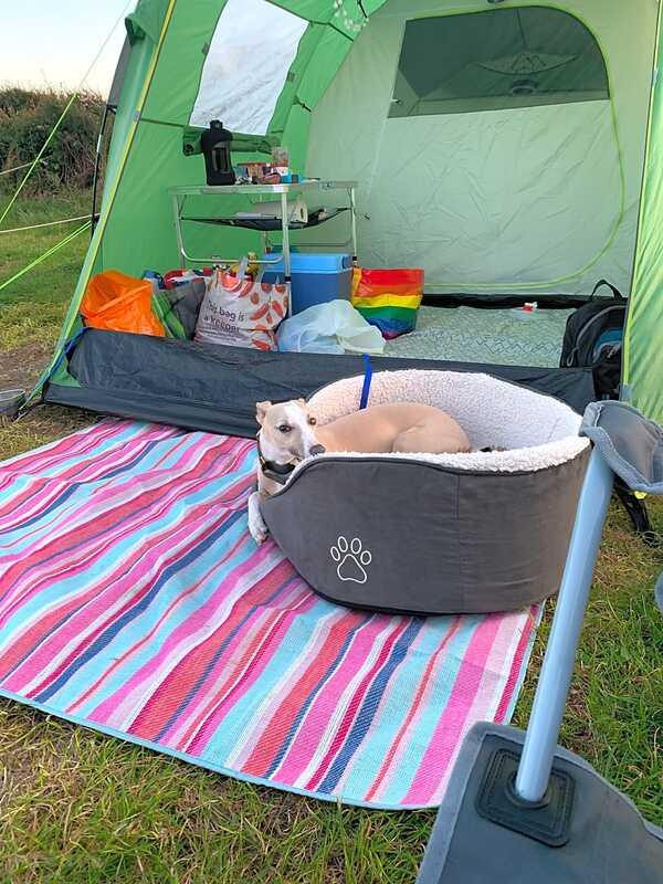 Kynance camping