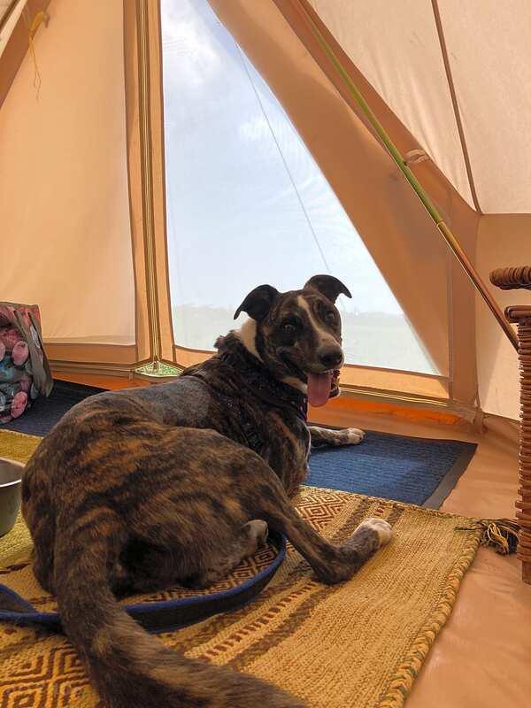 Kynance camping