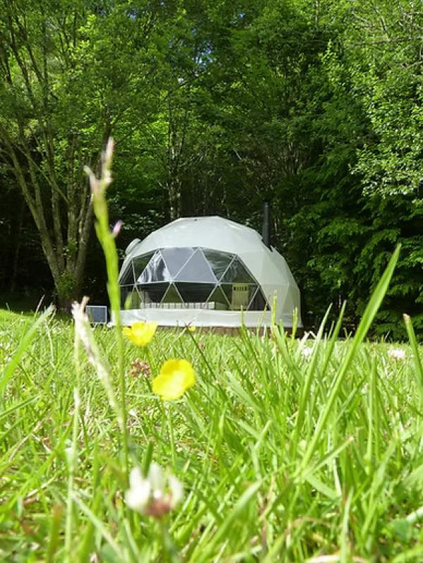 Inver Coille Ltd