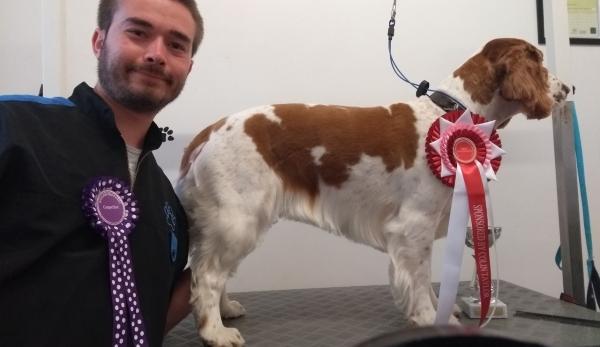 Pro Dog Grooming