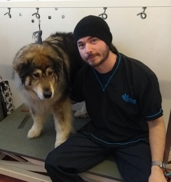 Pro Dog Grooming