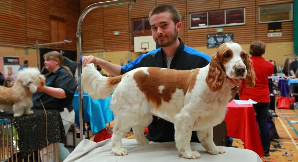 Pro Dog Grooming