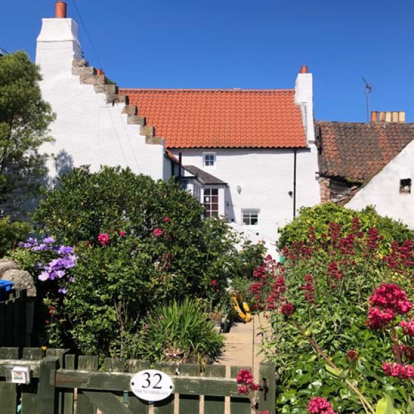 The Nethergate