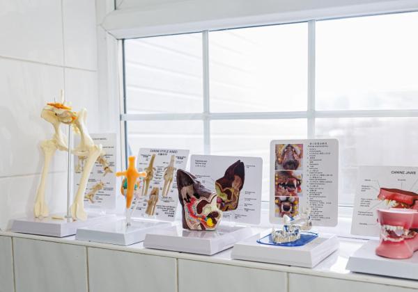 Happy Paws Veterinary Practice