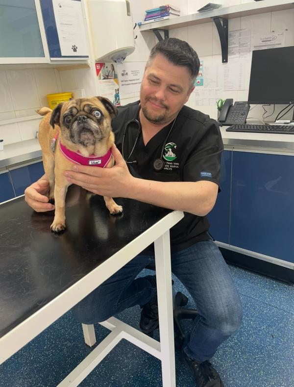 Happy Paws Veterinary Practice