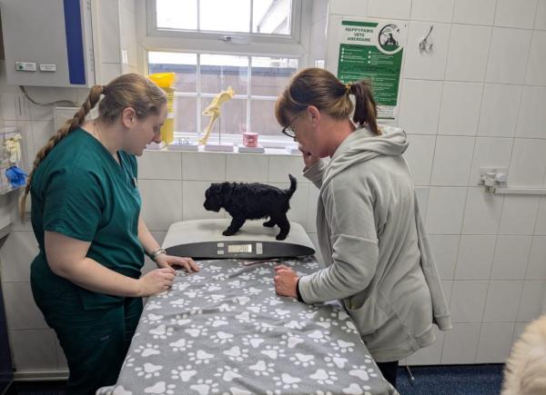 Happy Paws Veterinary Practice