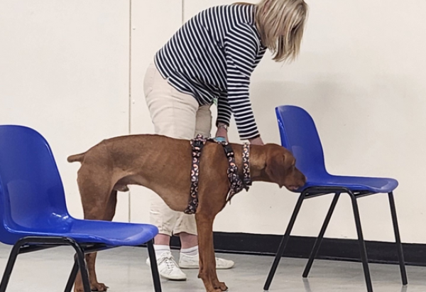 ABC for Dogs
