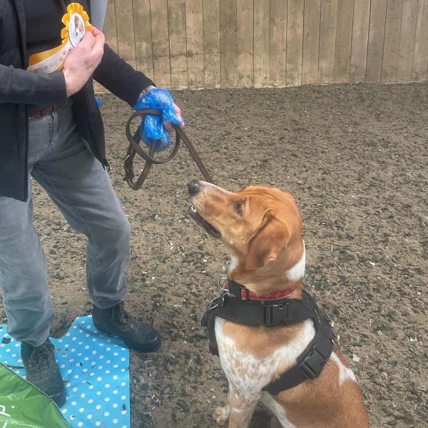 Hotdog Training
