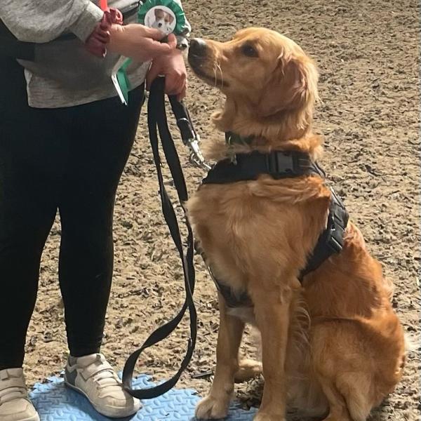 Hotdog Training