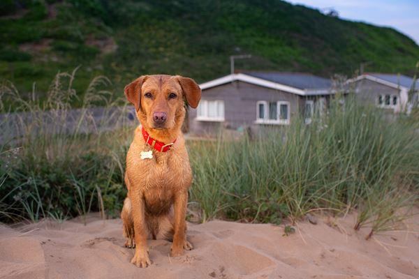 Saunton Beach Villas